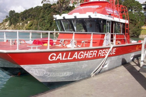 Gallagher Rescue